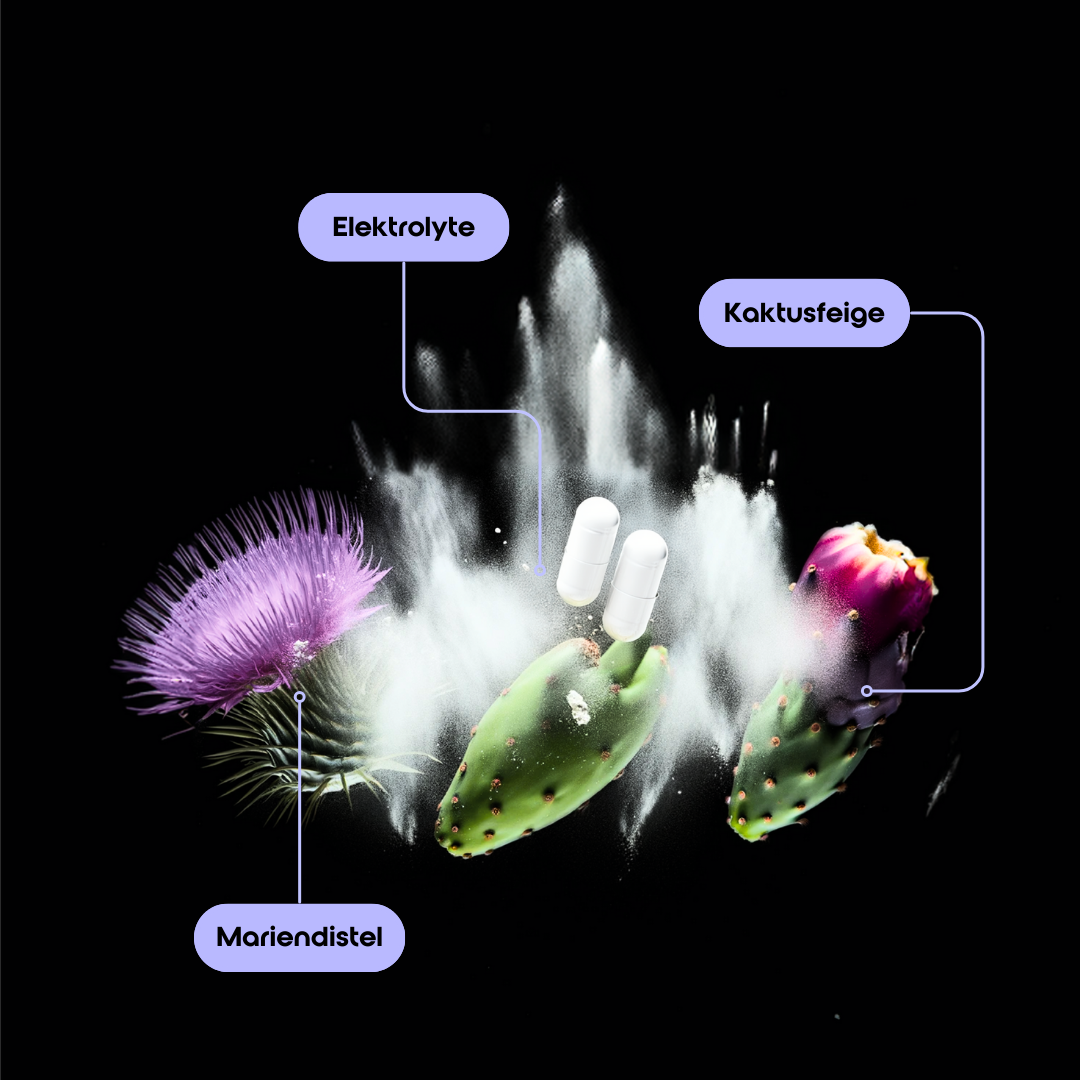 Partylyte -  Elektrolyte & Botanicals.