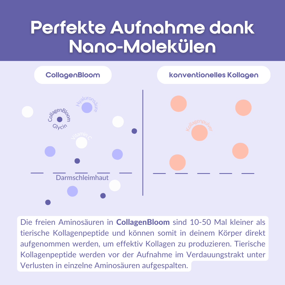 CollagenBloom Geschmacksneutral - Optimale Bioverfügbarkeit